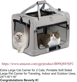 https://www.amazon.com/gp/product/B09Q885SP2 Extra Large Cat Carrier for 2 Cats, Portable Soft Sided  Large Pet Carrier for Traveling, Indoor and Outdoor Uses,  24"×16"×16" Congratulations Beverly K!